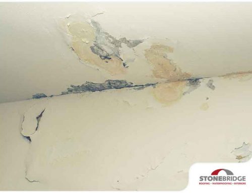 5 Risks of Ignoring a Leaking Roof